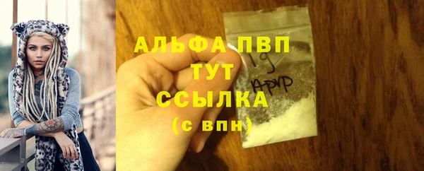 винт Аркадак