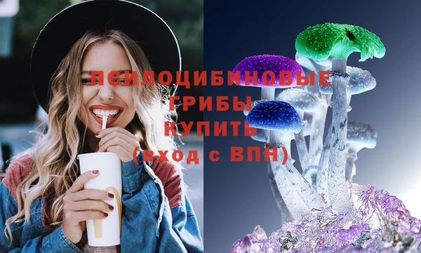 ECSTASY Алзамай