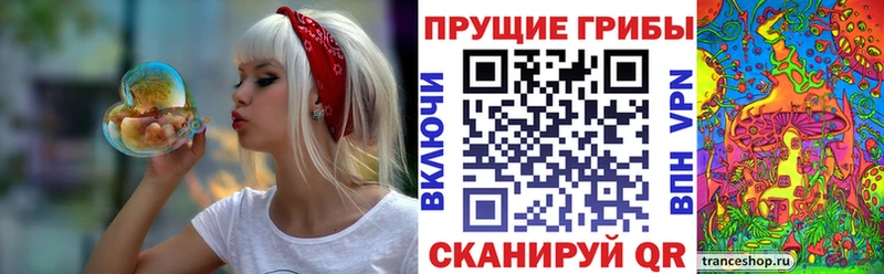 гидра ссылка  Саров  Галлюциногенные грибы GOLDEN TEACHER  что такое  